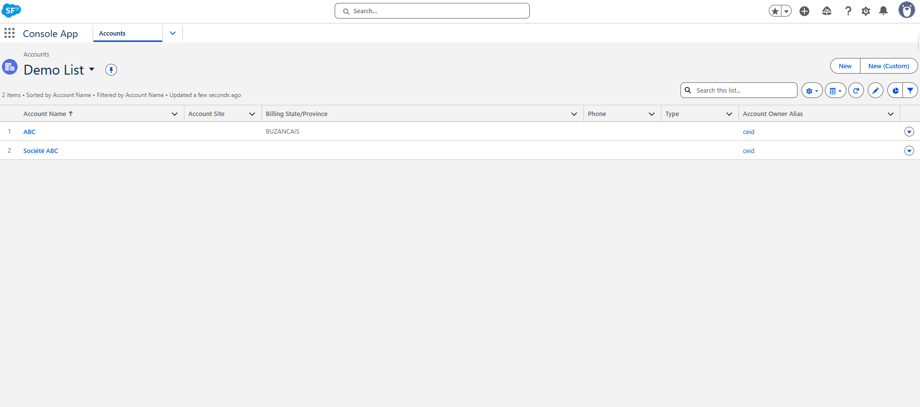 Recherche Entreprise Demo