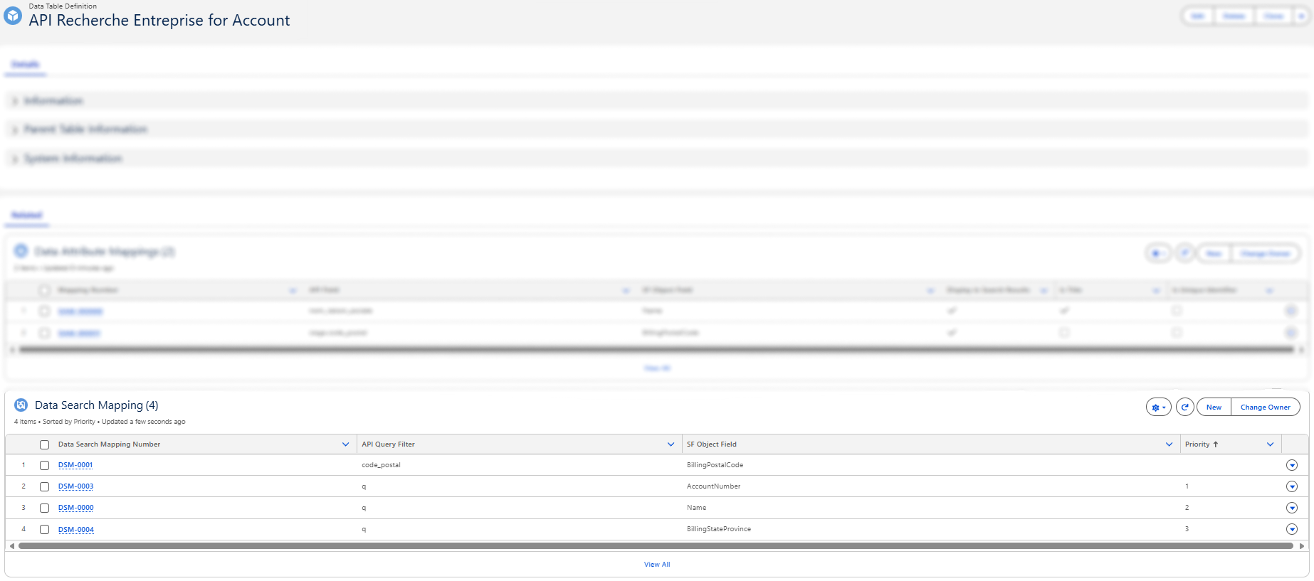 Data Search Mapping Records