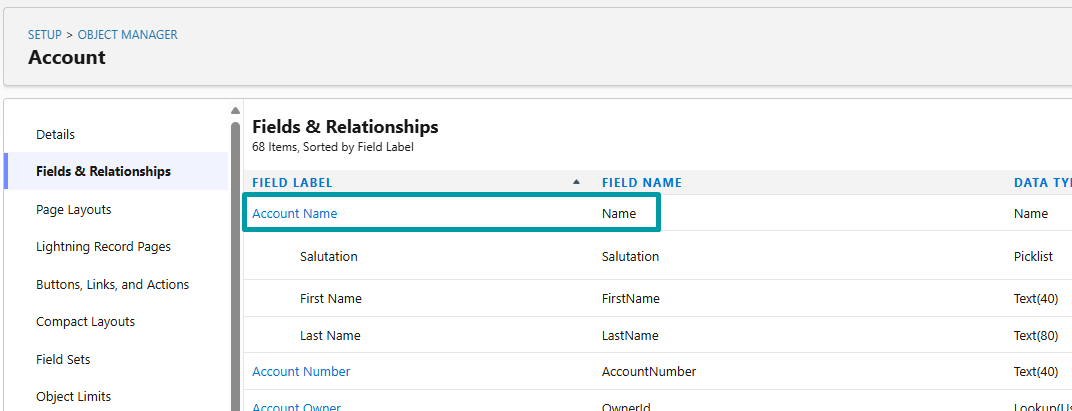 Salesforce Field API Name