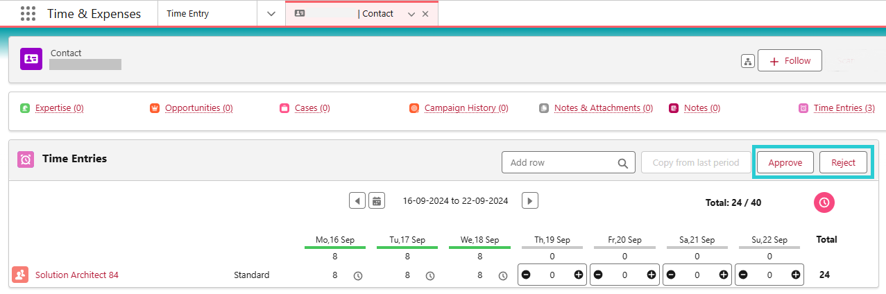 Submitted Time Sheet