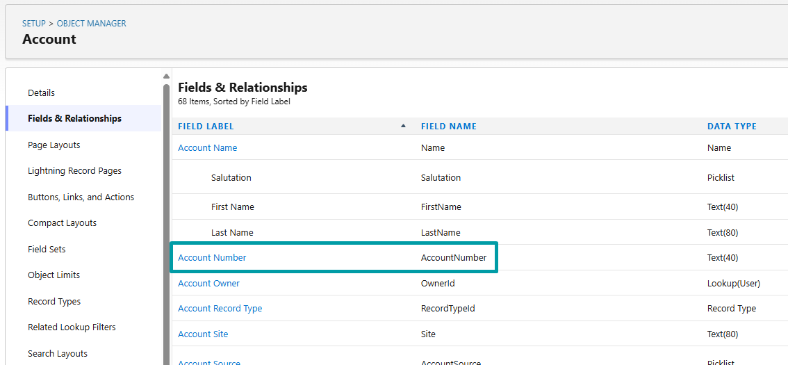 Salesforce Field API Name